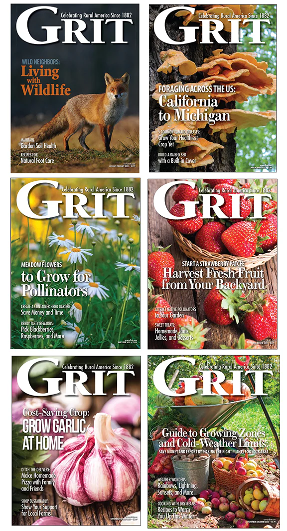Grit Back Issue Bundle 2022