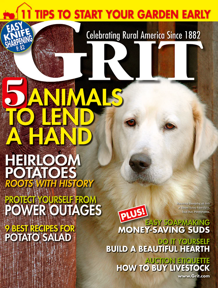 Grit Magazine, January/February 2009