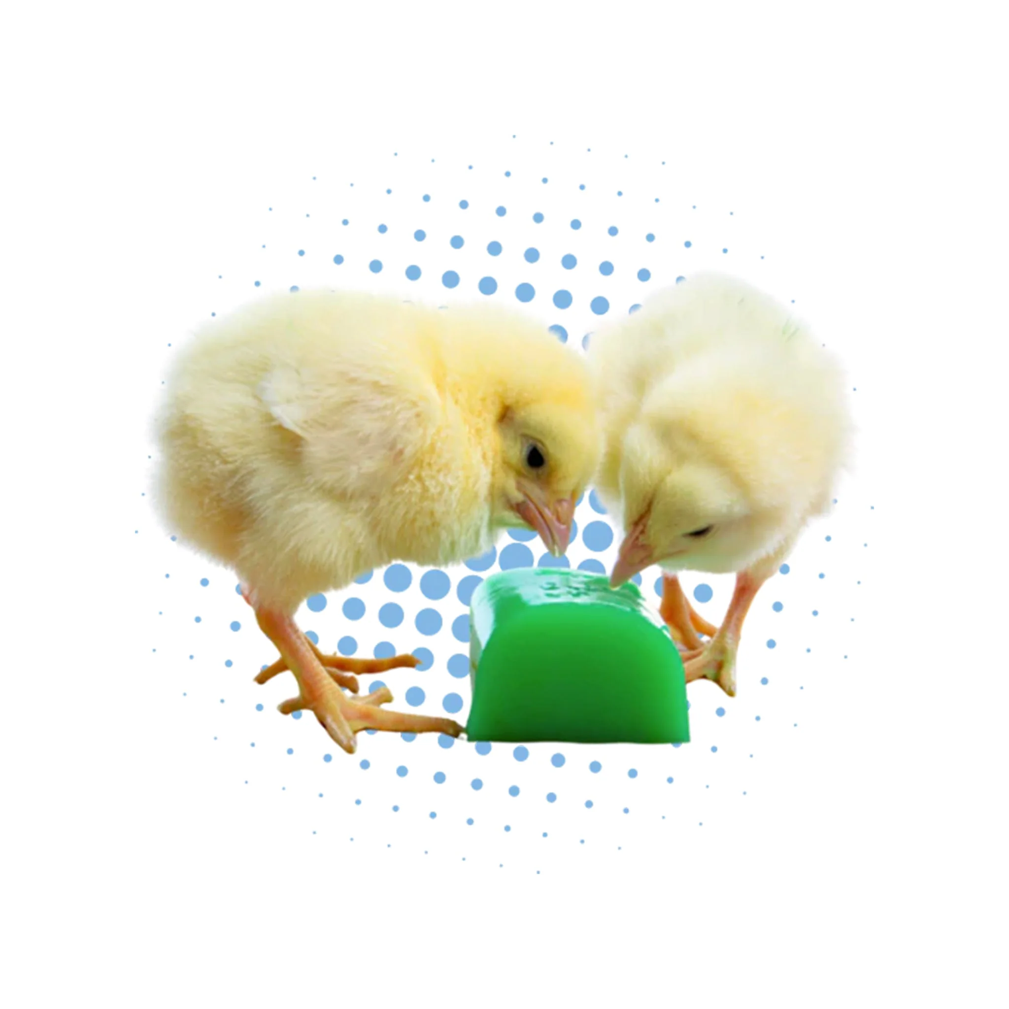 GroGel Chick Hydration - Image 2