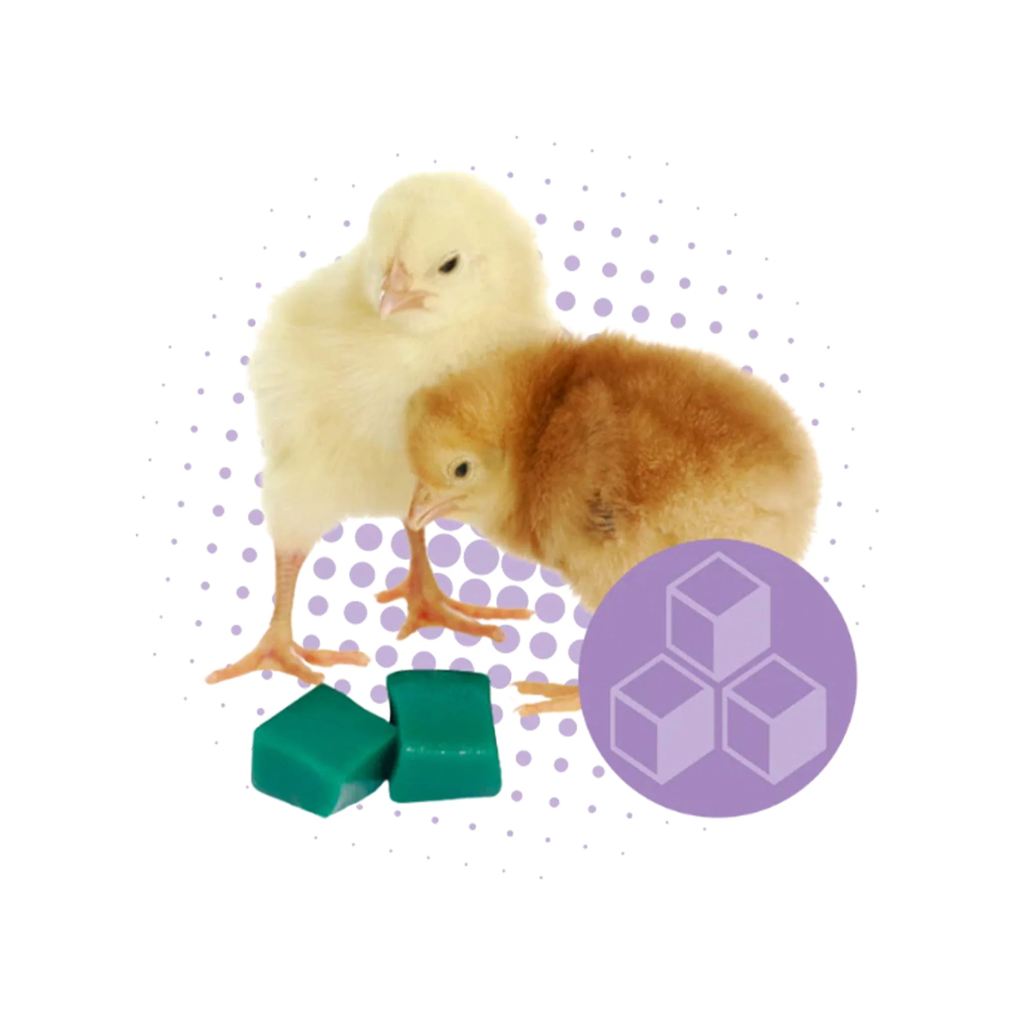 GroGel Chick Hydration - Image 3
