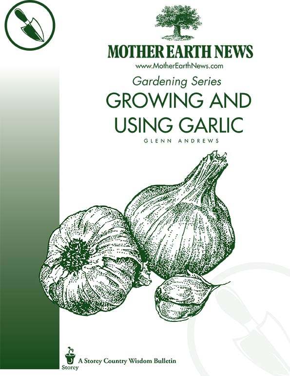 Growing And Using Garlic, E-Handbook