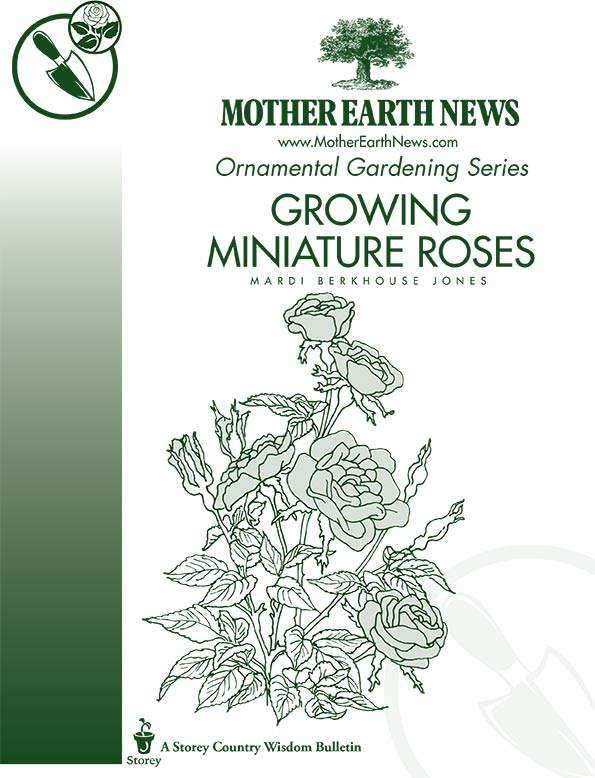 Growing Miniature Roses, E-Handbook