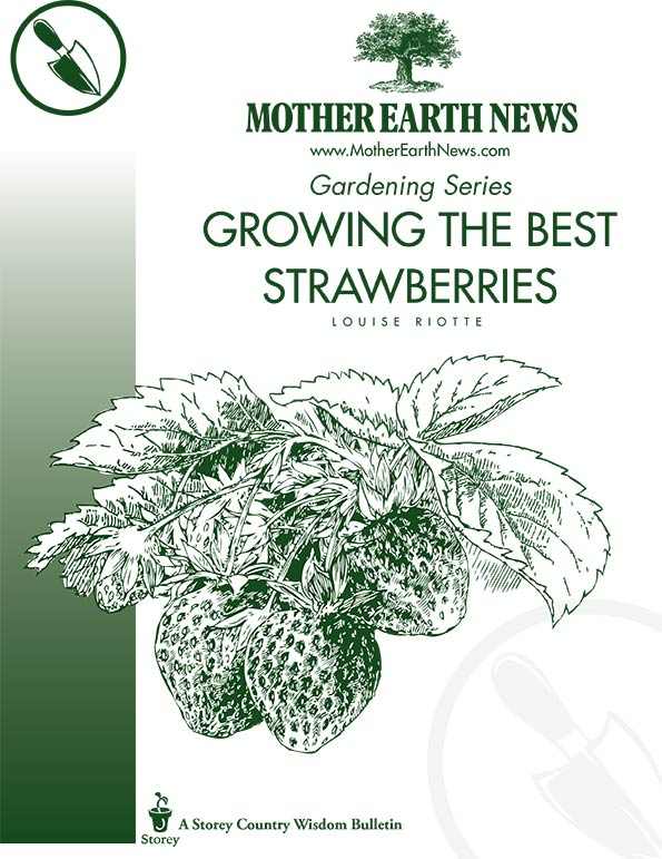 Growing The Best Strawberries, E-Handbook