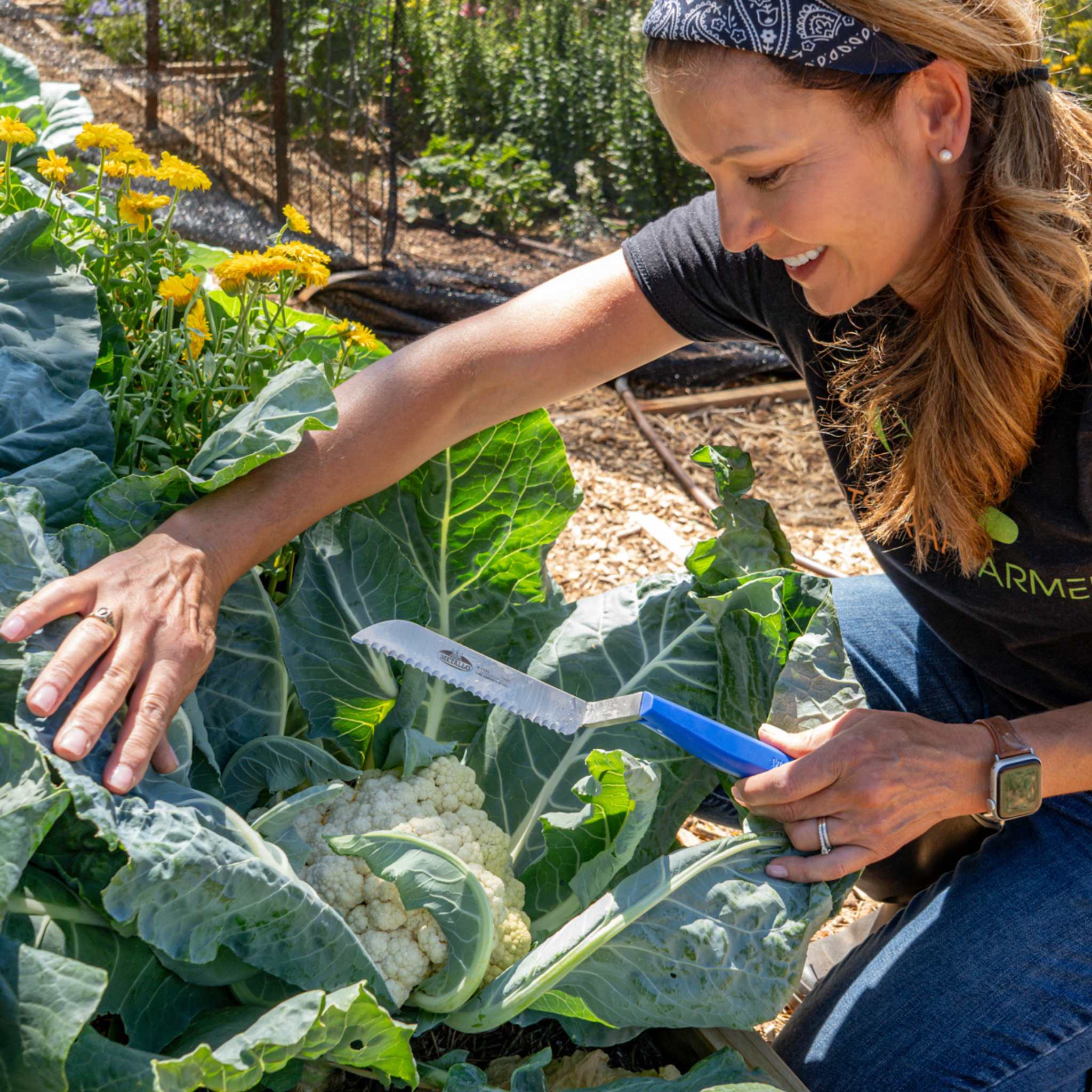 Harvest Knife for Spinach & Leafy Greens- Serrated - Image 2