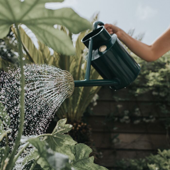 Haws Bearwood Brook - Watering Can - Image 4