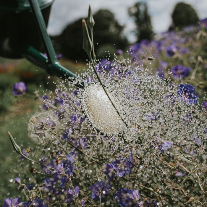 Haws Cradley Deluxe - Watering Can - Image 6