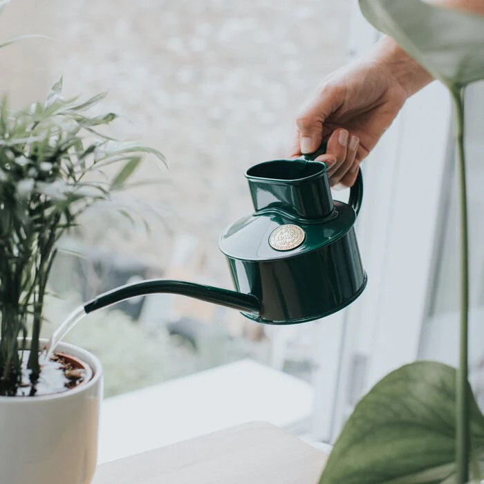 Haws Fazeley - Watering Can - Image 10