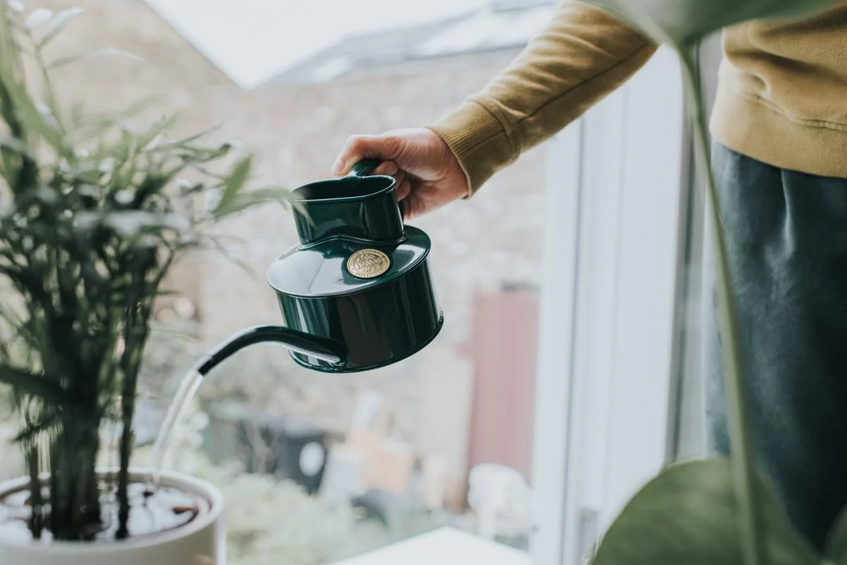 Haws Fazeley - Watering Can - Image 2