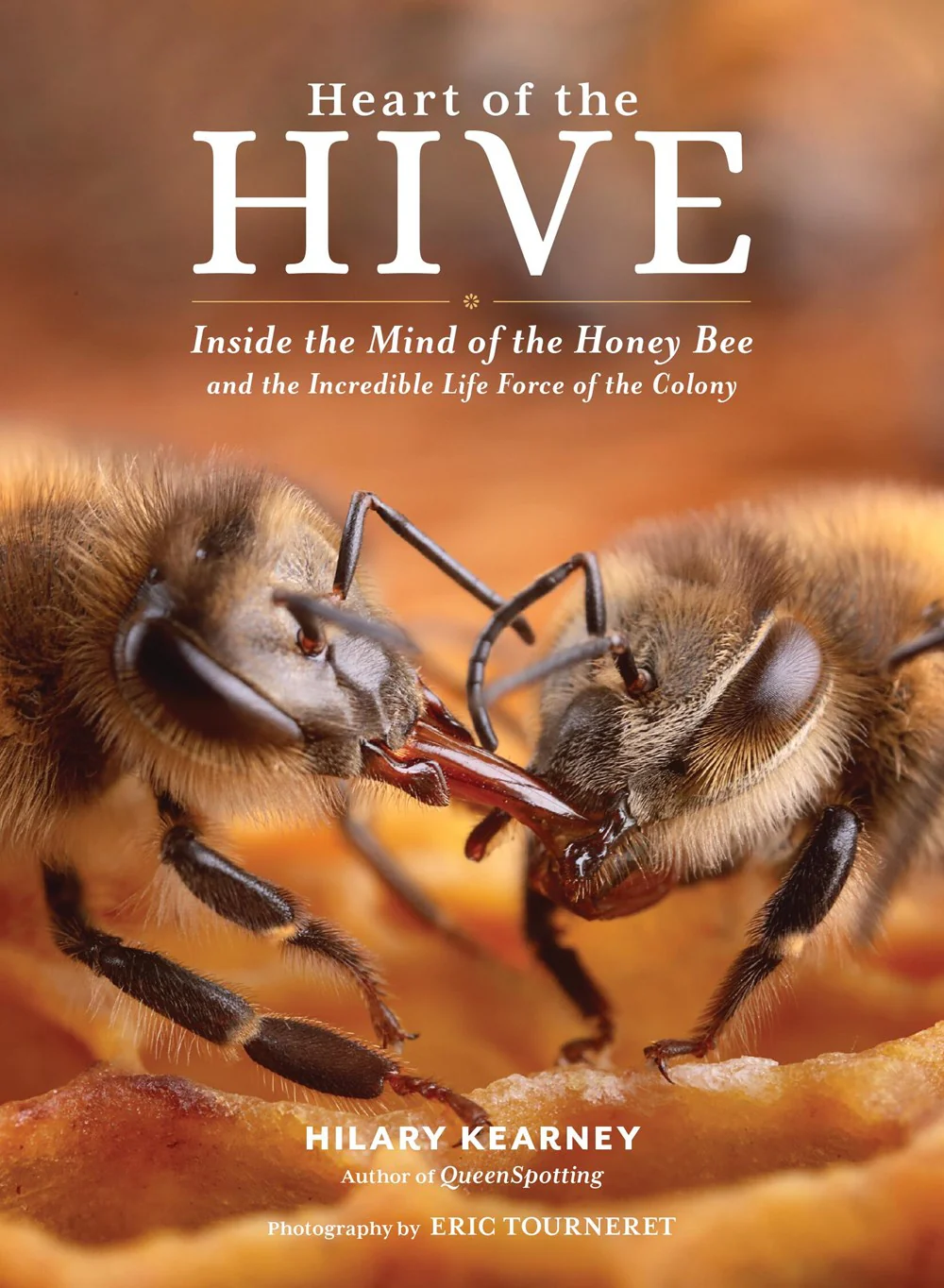 Heart Of The Hive