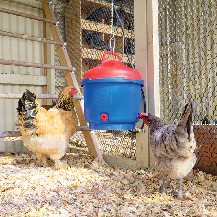 Heated Poultry Waterer - Image 3