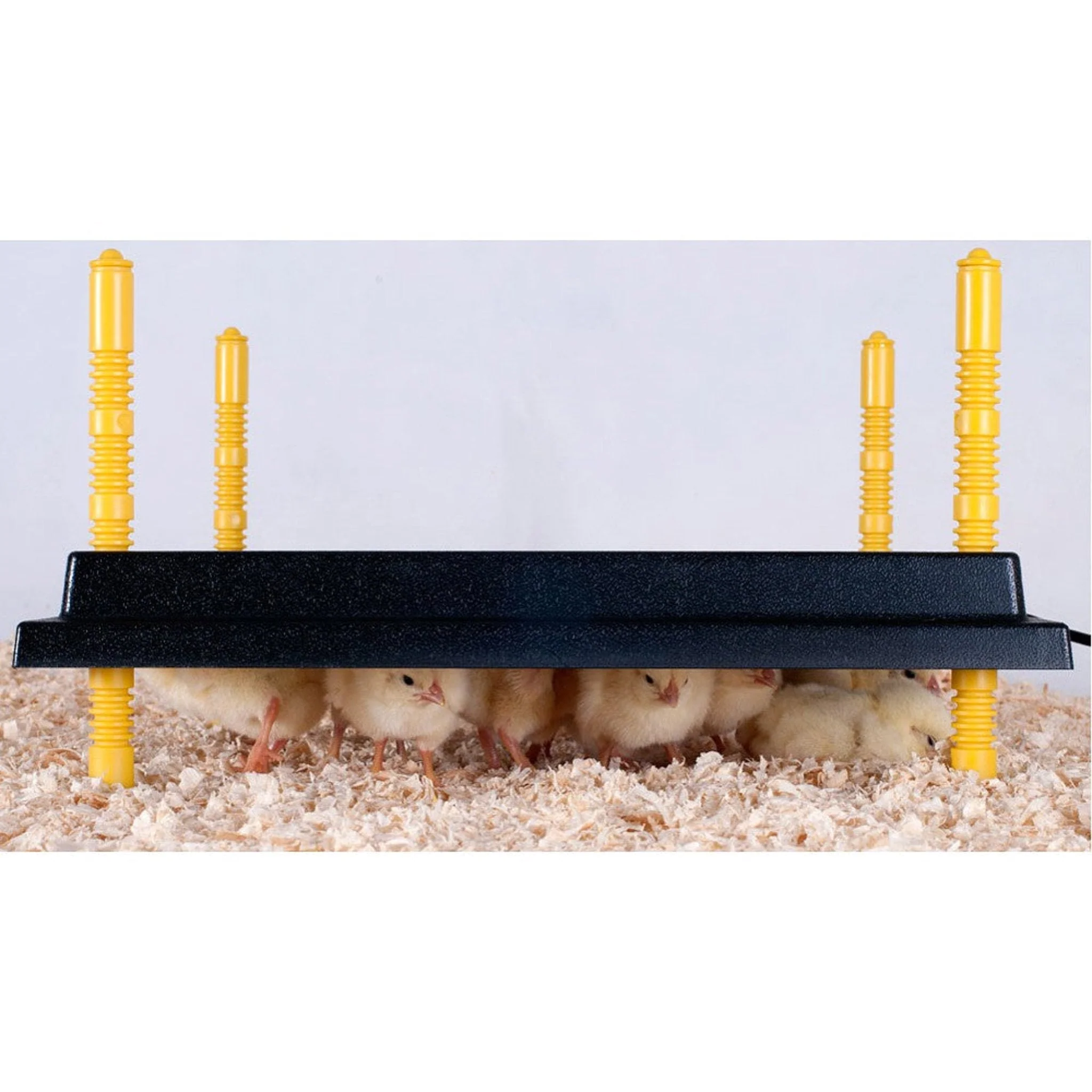 Heating Plate for 15-20 Chicks (10" x 10") - Image 3