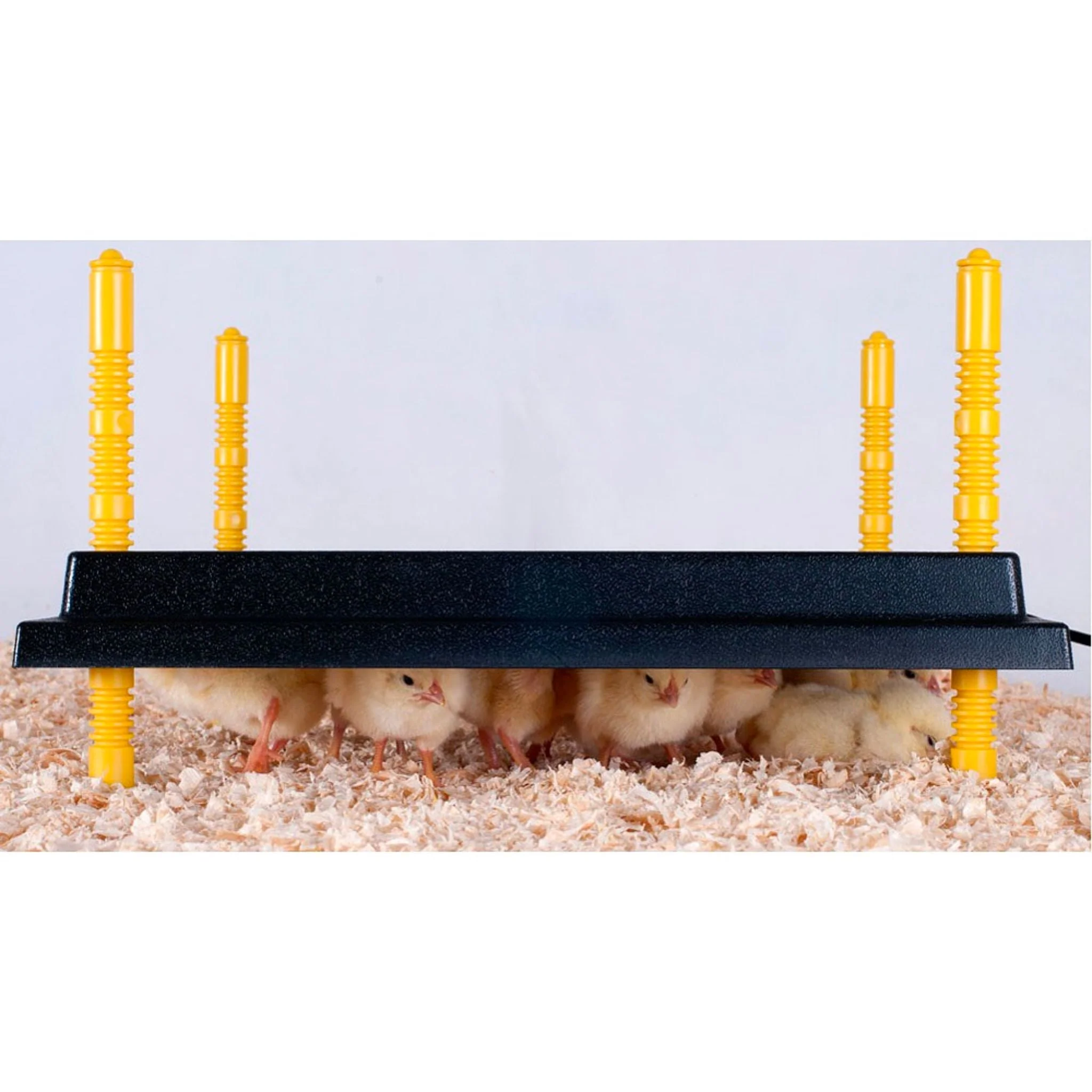 Heating Plate for 30-35 Chicks (16" x 16") - Image 3