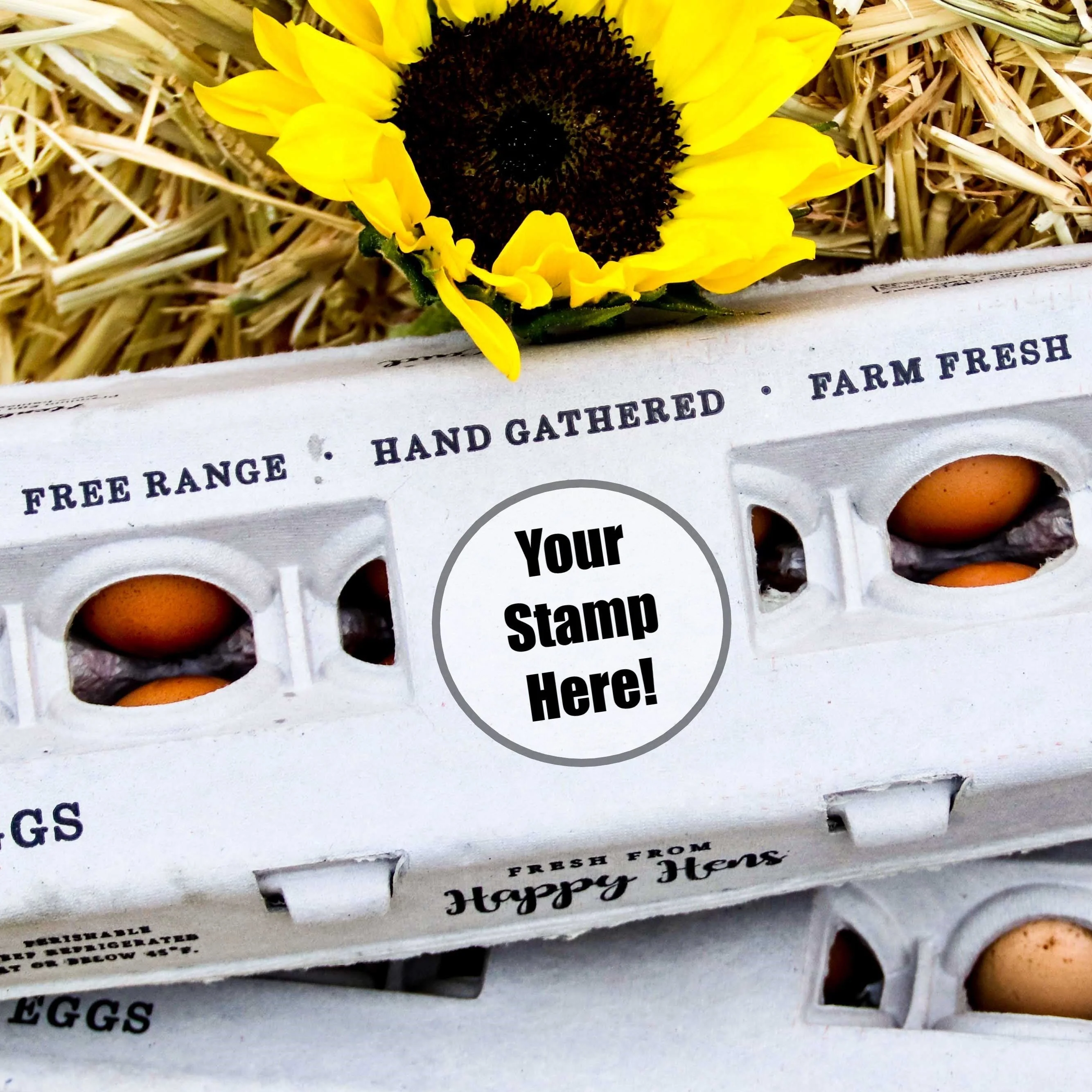 Henlay Blank Stamping Egg Cartons - 25, 90, or 250 - Image 7