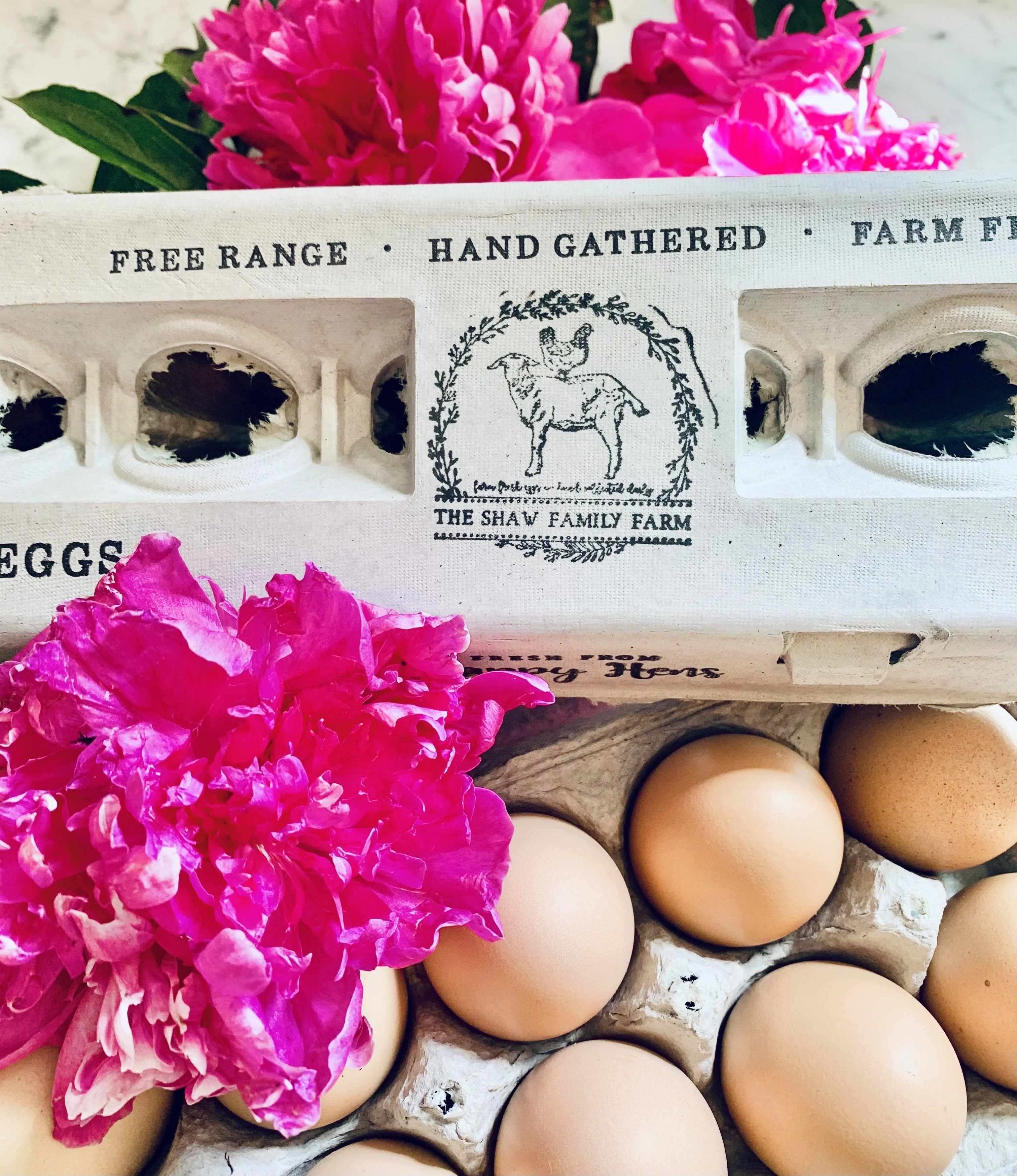 Henlay Blank Stamping Egg Cartons - 25, 90, or 250 - Image 8