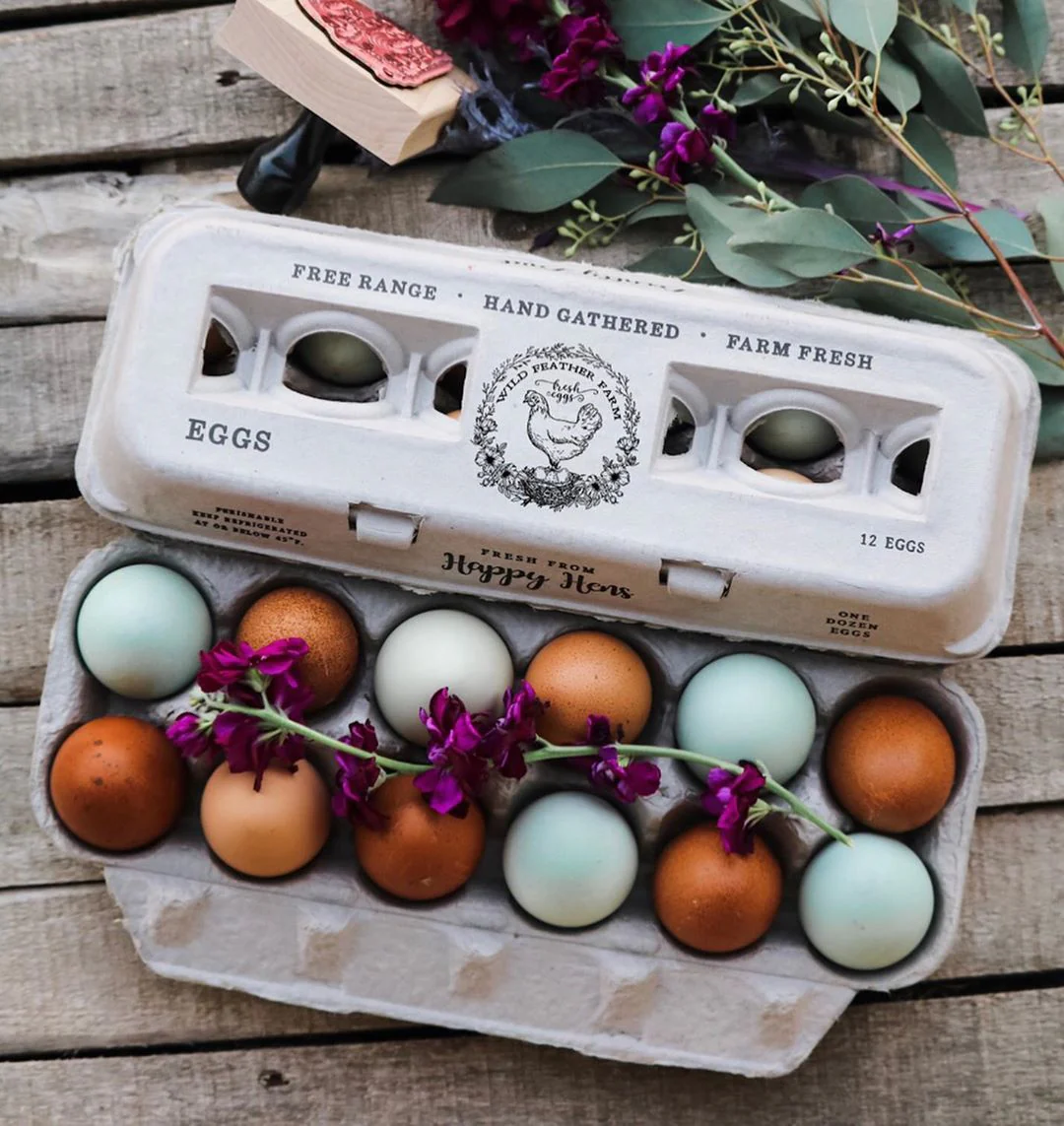 Henlay Blank Stamping Egg Cartons - 25, 90, or 250 - Image 9