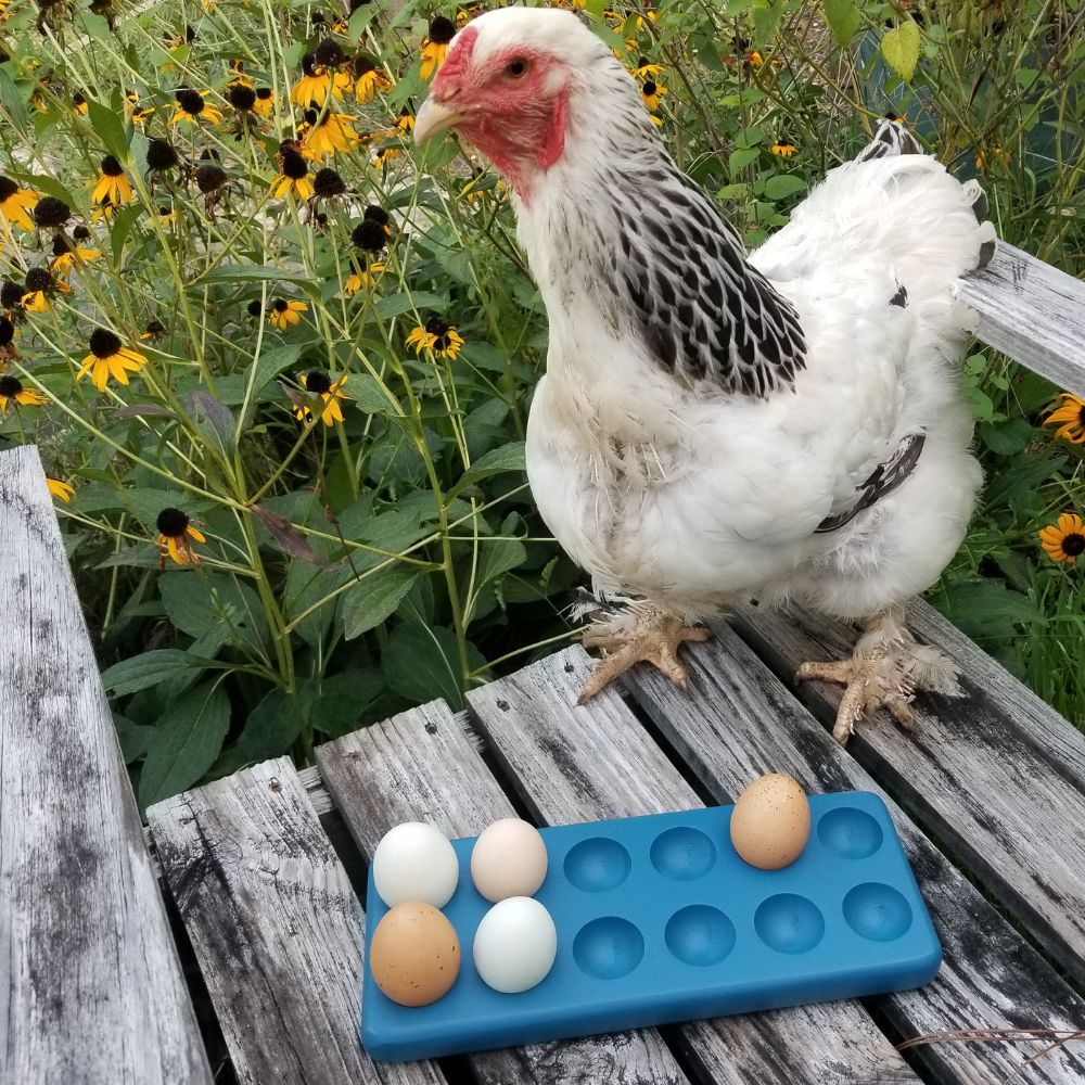 Henlay Decorative Egg Storage Tray: Wooden Egg Holder for Refrigerator, Kitchen Counter, Serving, or Display - Image 3