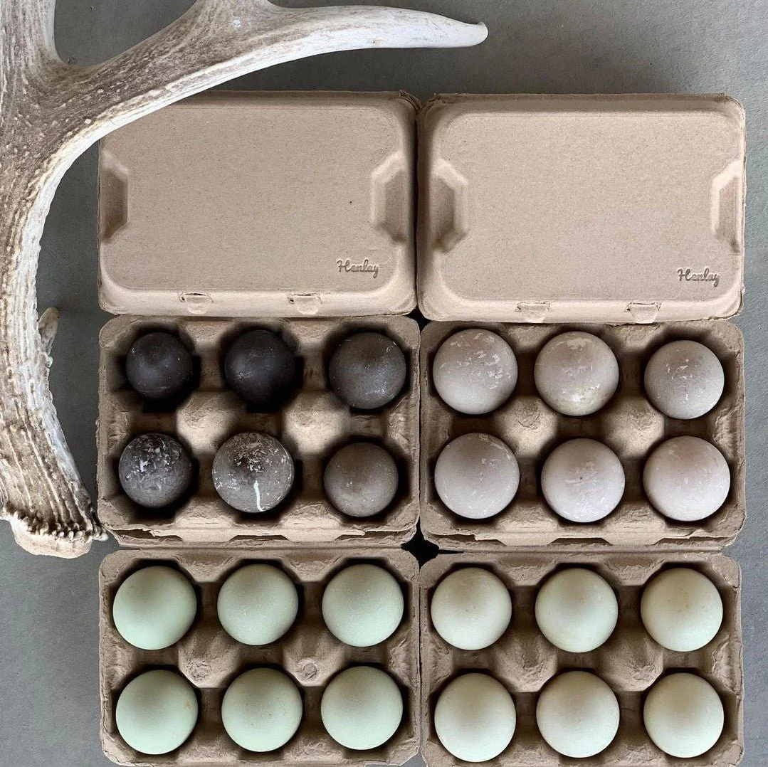Henlay Duck Egg Cartons - Holds Half Dozen Jumbo Eggs- Blank Flat Top, 2 colors, 20 or 100 - Image 4
