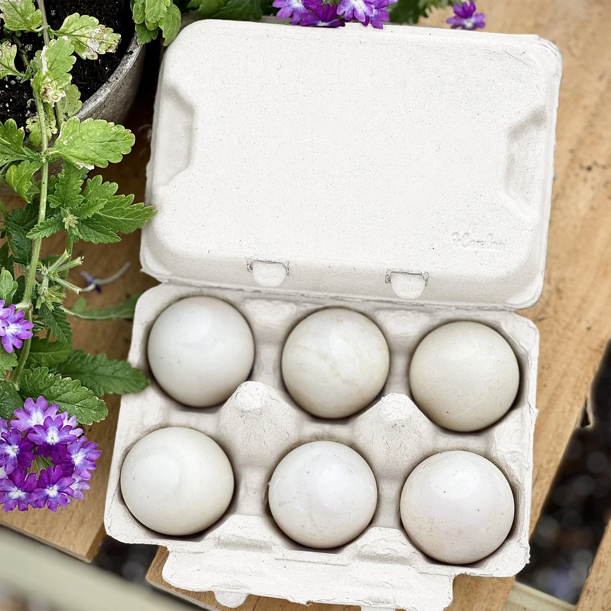 Henlay Duck Egg Cartons - Holds Half Dozen Jumbo Eggs- Blank Flat Top, 2 colors, 20 or 100 - Image 5