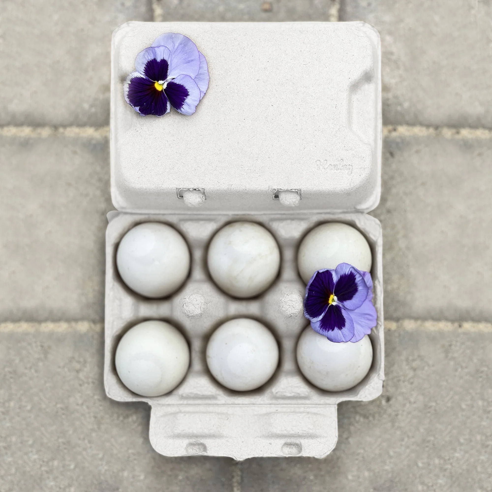 Henlay Duck Egg Cartons - Holds Half Dozen Jumbo Eggs- Blank Flat Top, 2 colors, 20 or 100 - Image 6