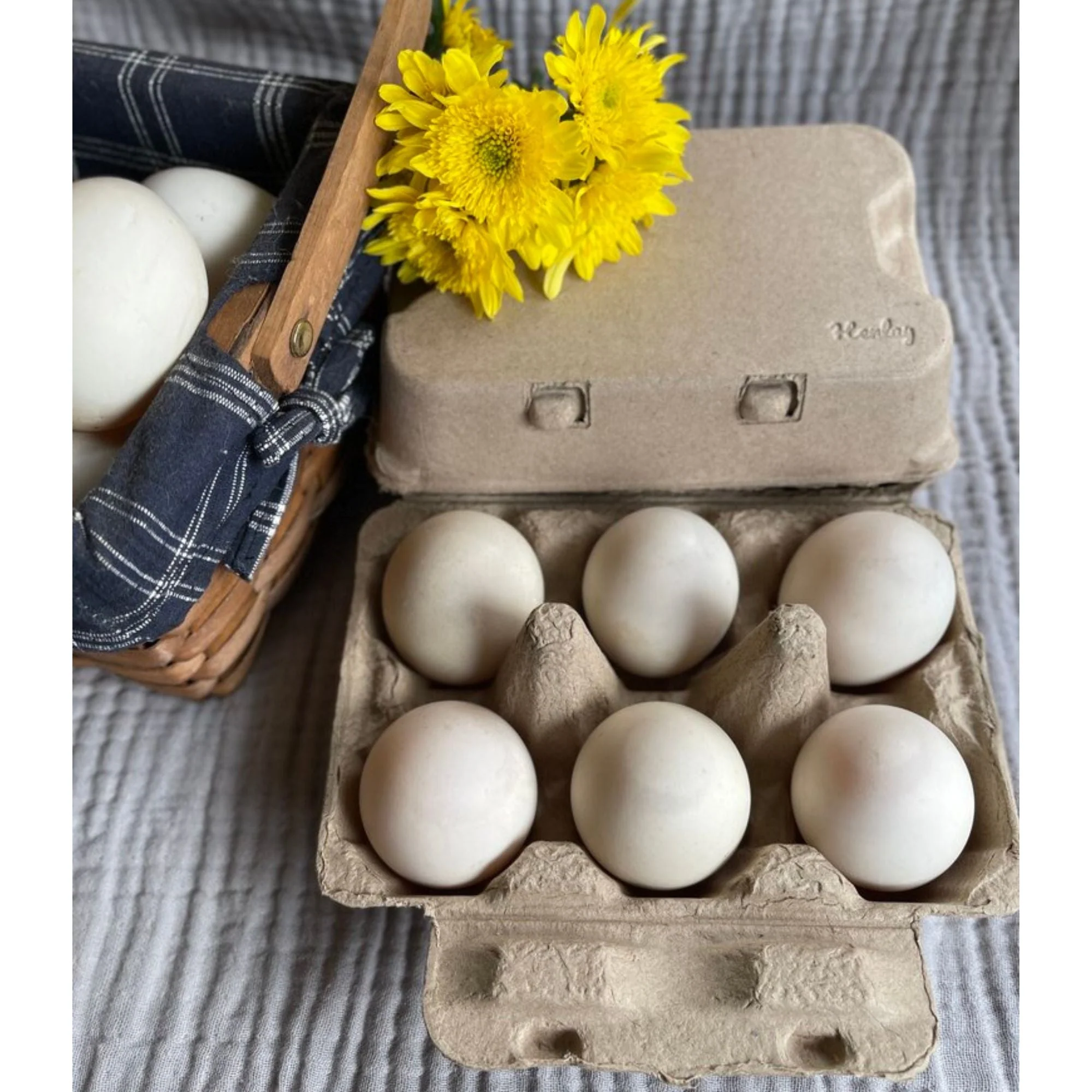 Henlay Duck Egg Cartons - Holds Half Dozen Jumbo Eggs- Blank Flat Top, 2 colors, 20 or 100 - Image 8