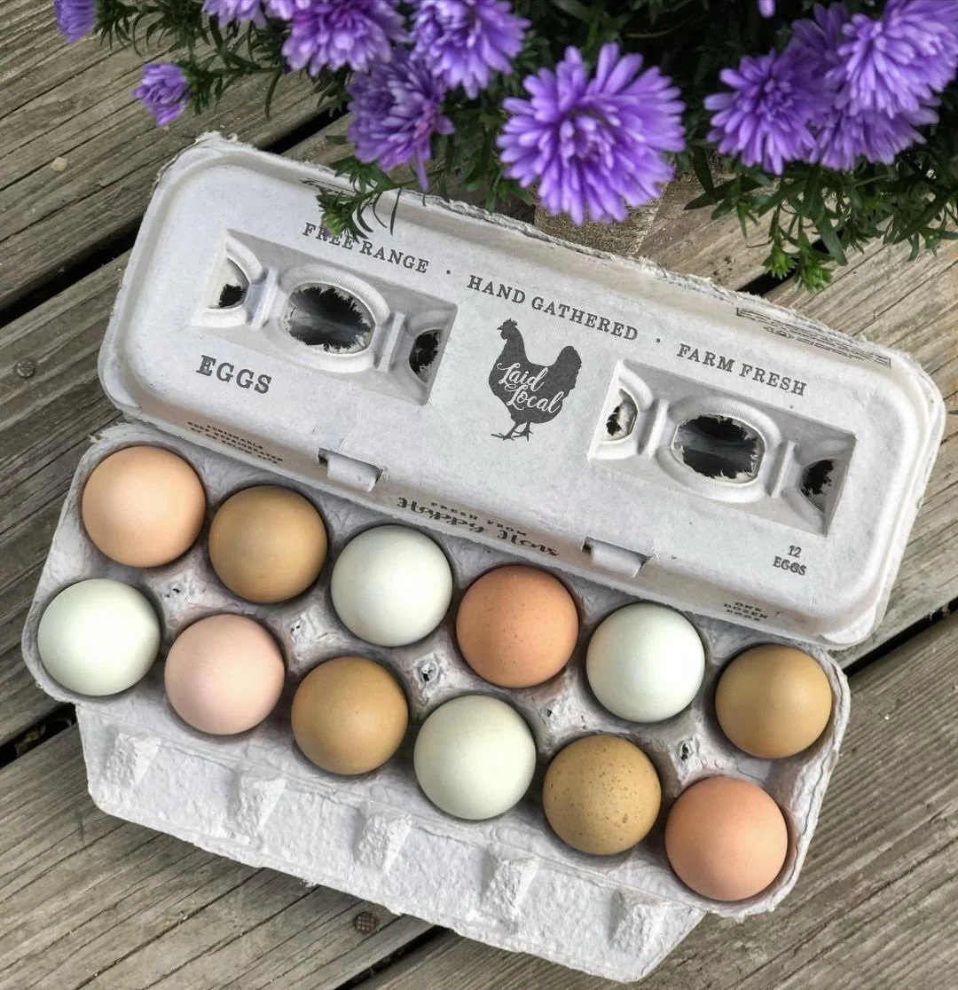 Henlay Laid Local Egg Cartons- Adorable Printed Vintage Design- 25, 90, or 250 - Image 4