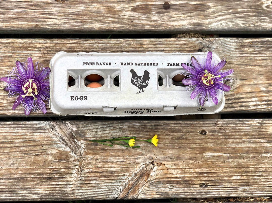 Henlay Laid Local Egg Cartons- Adorable Printed Vintage Design- 25, 90, or 250 - Image 6
