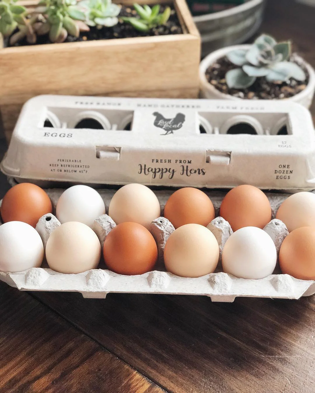 Henlay Laid Local Egg Cartons- Adorable Printed Vintage Design- 25, 90, or 250 - Image 8