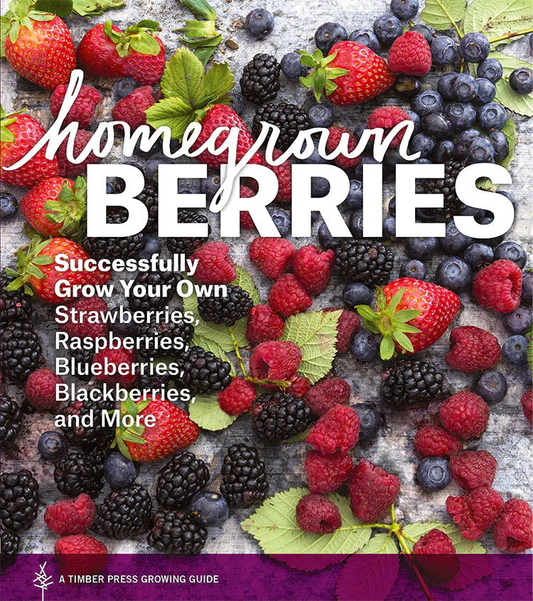 Homegrown Berries