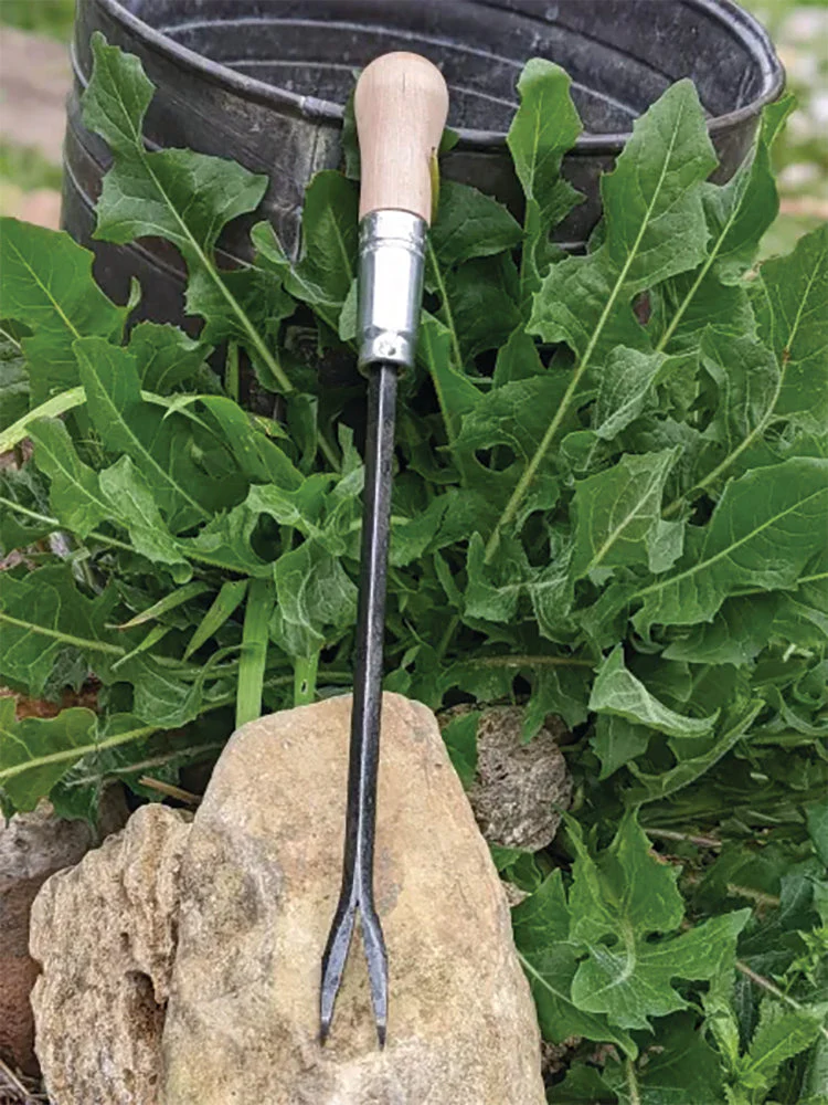 HOMESTEAD IRON WEEDING FORK