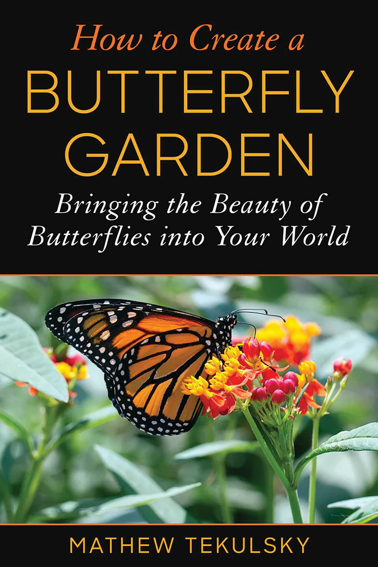 How To Create A Butterfly Garden