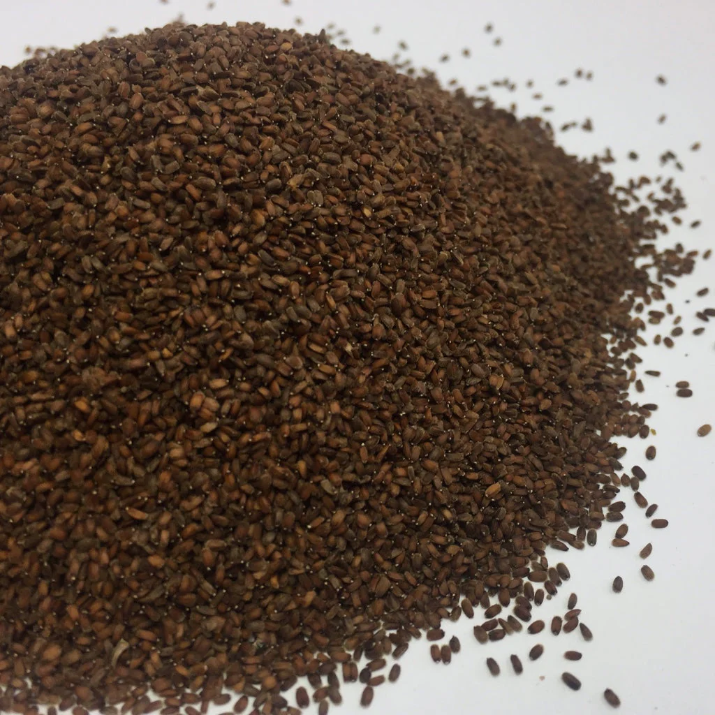 Hyssop, Anise (Agastache foeniculum) - Image 2