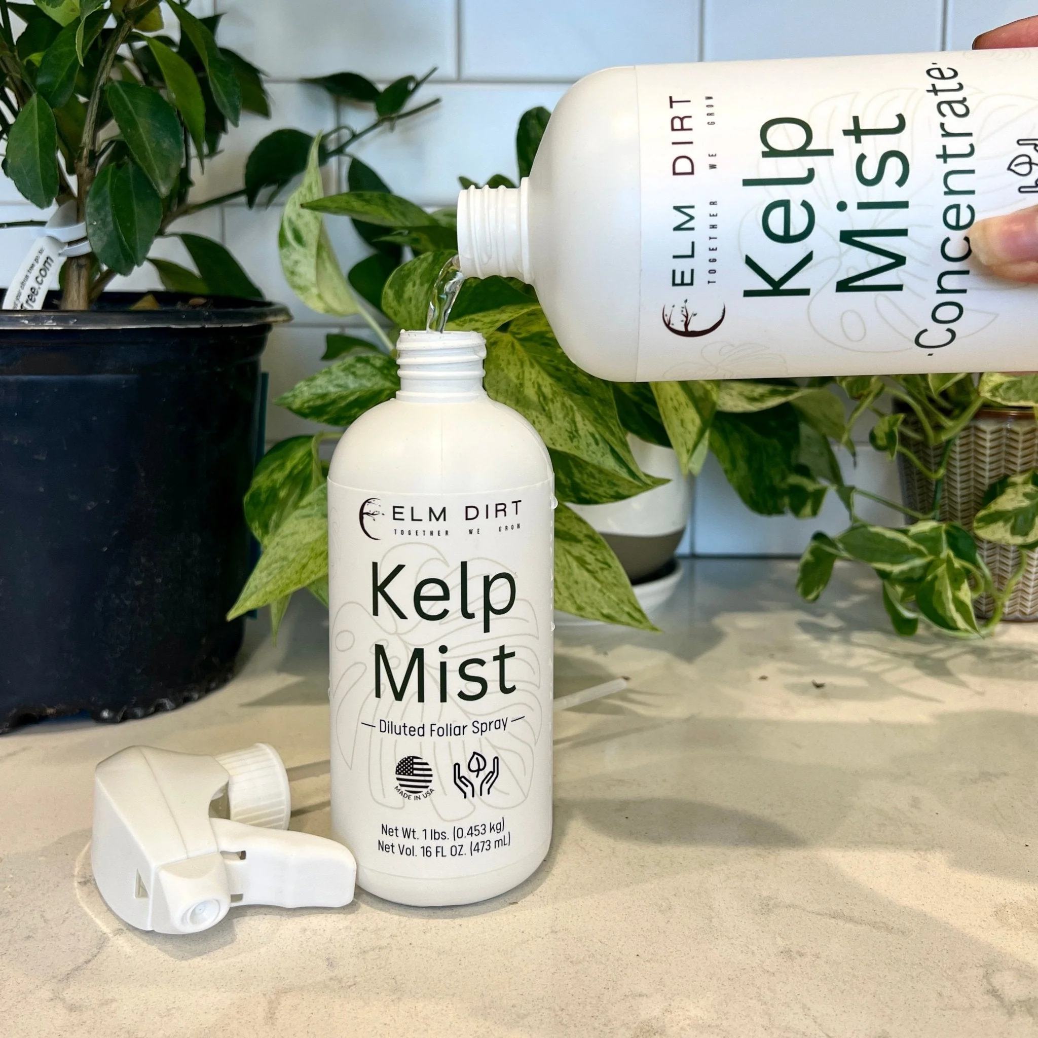 Kelp Mist Foliar Spray - Image 3