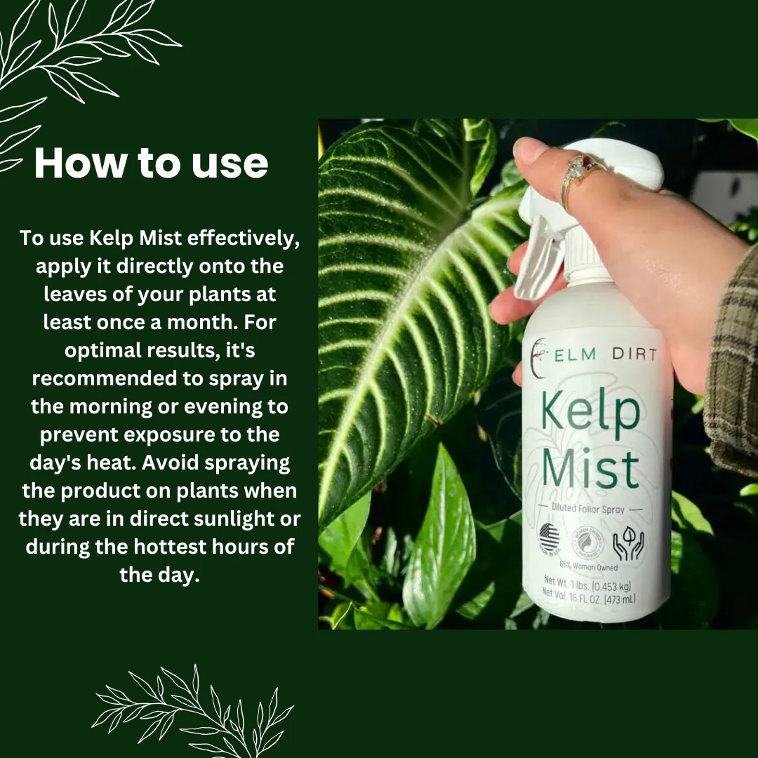 Kelp Mist Foliar Spray - Image 4