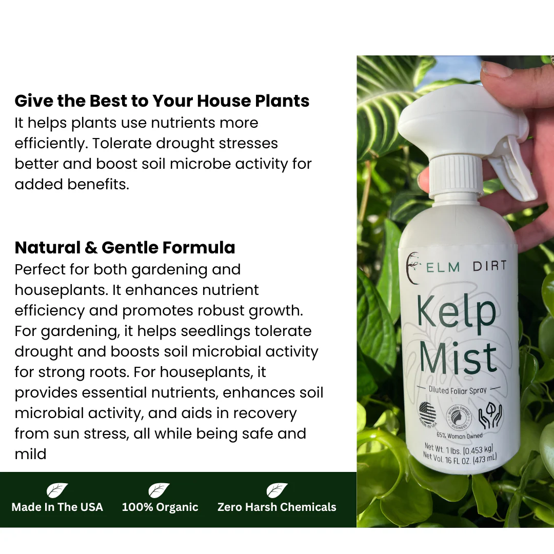 Kelp Mist Foliar Spray - Image 5