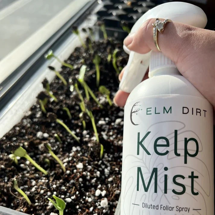 Kelp Mist Foliar Spray - Image 7