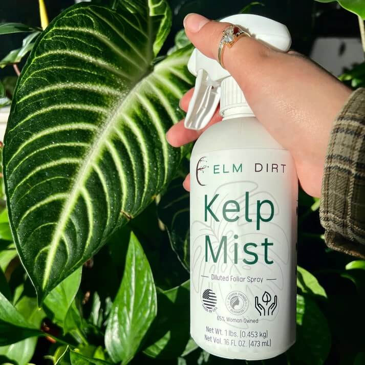 Kelp Mist Foliar Spray - Image 8