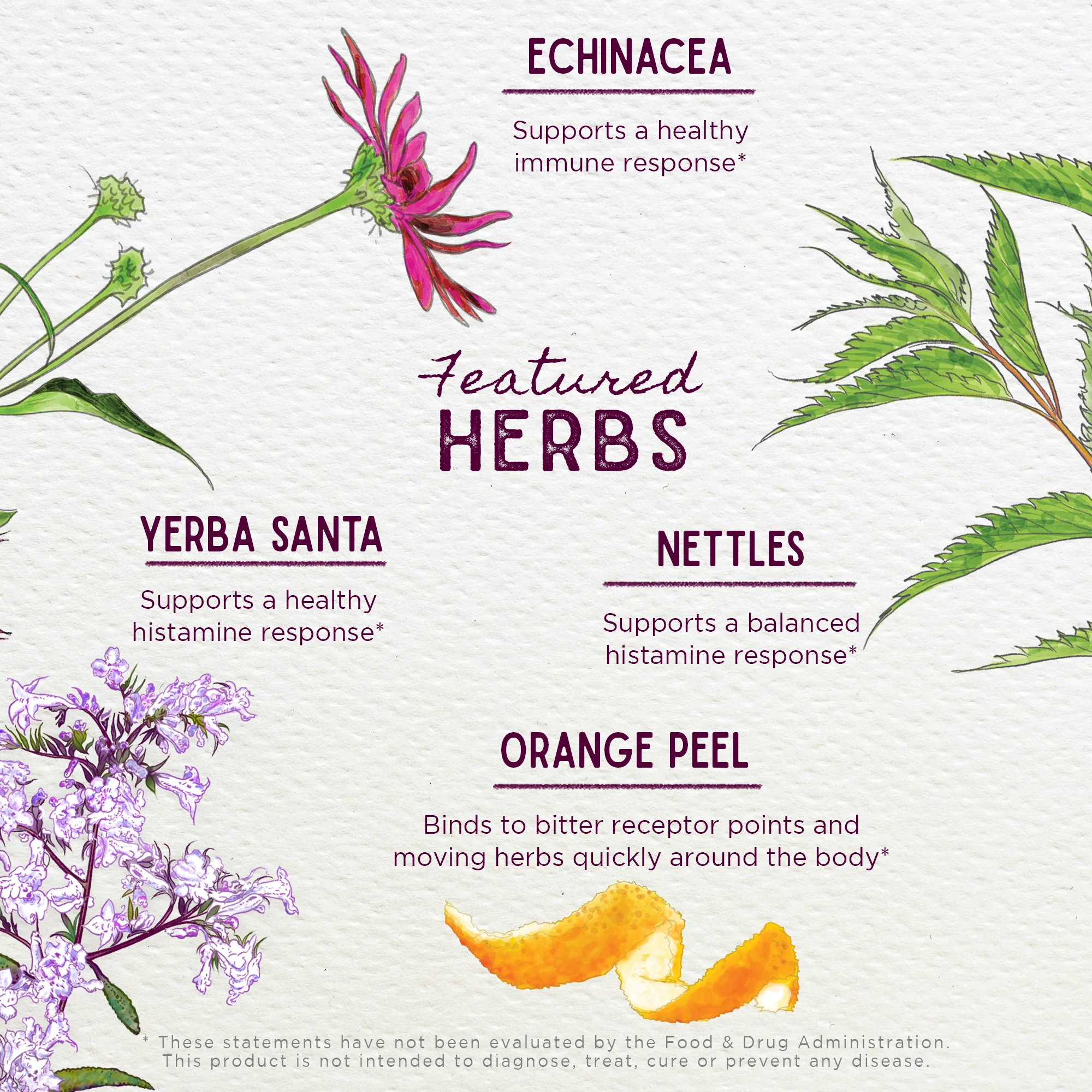 Kick-Ass Allergy & Sinus Soother - Image 4