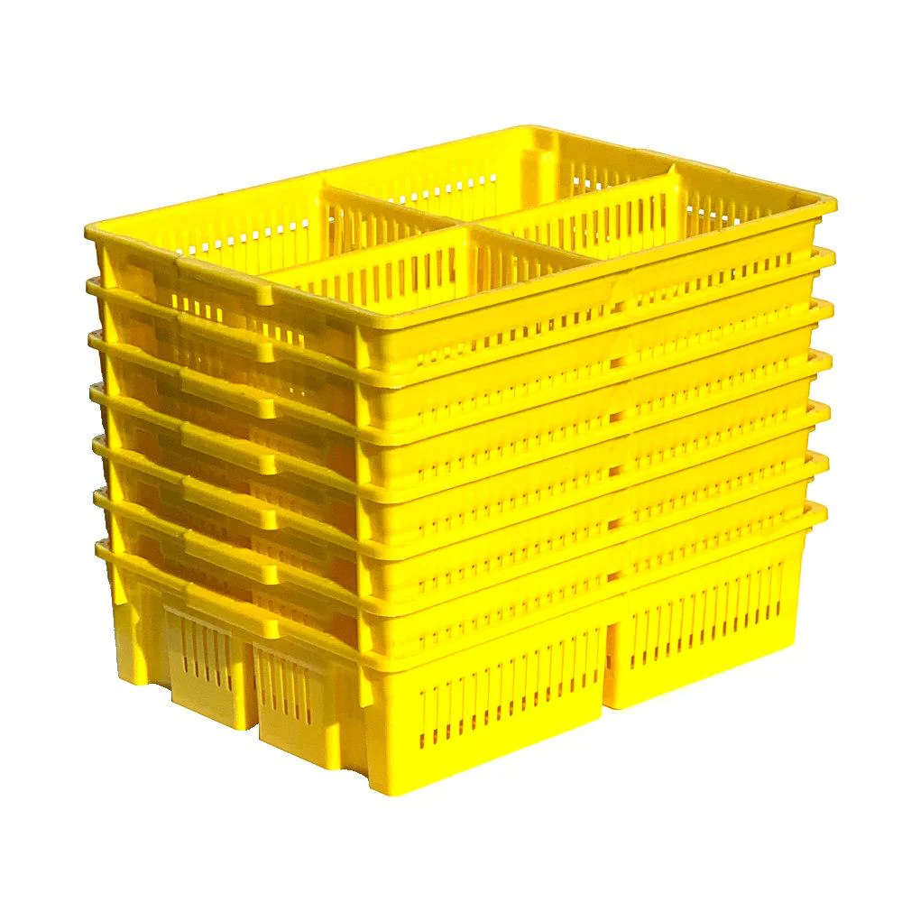 Large Chick Basket - 4 Section (4x25 Chicks) - Image 2