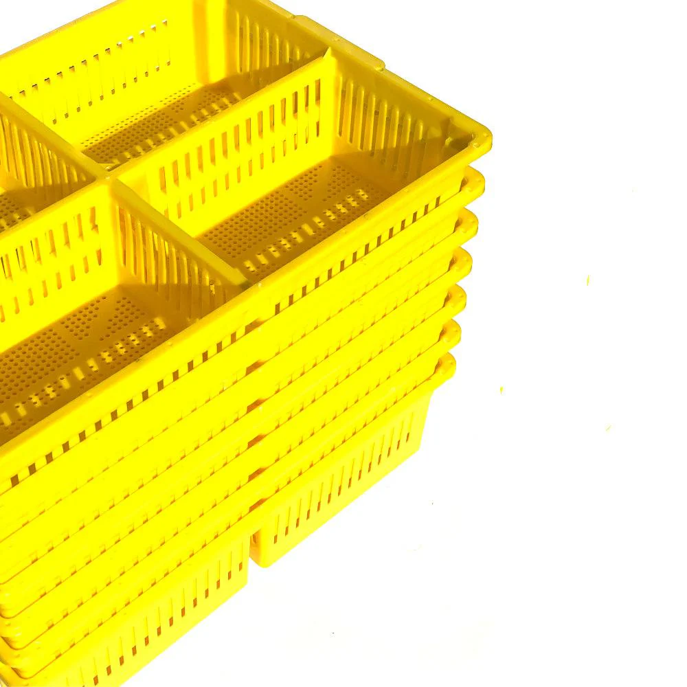 Large Chick Basket - 4 Section (4x25 Chicks) - Image 3