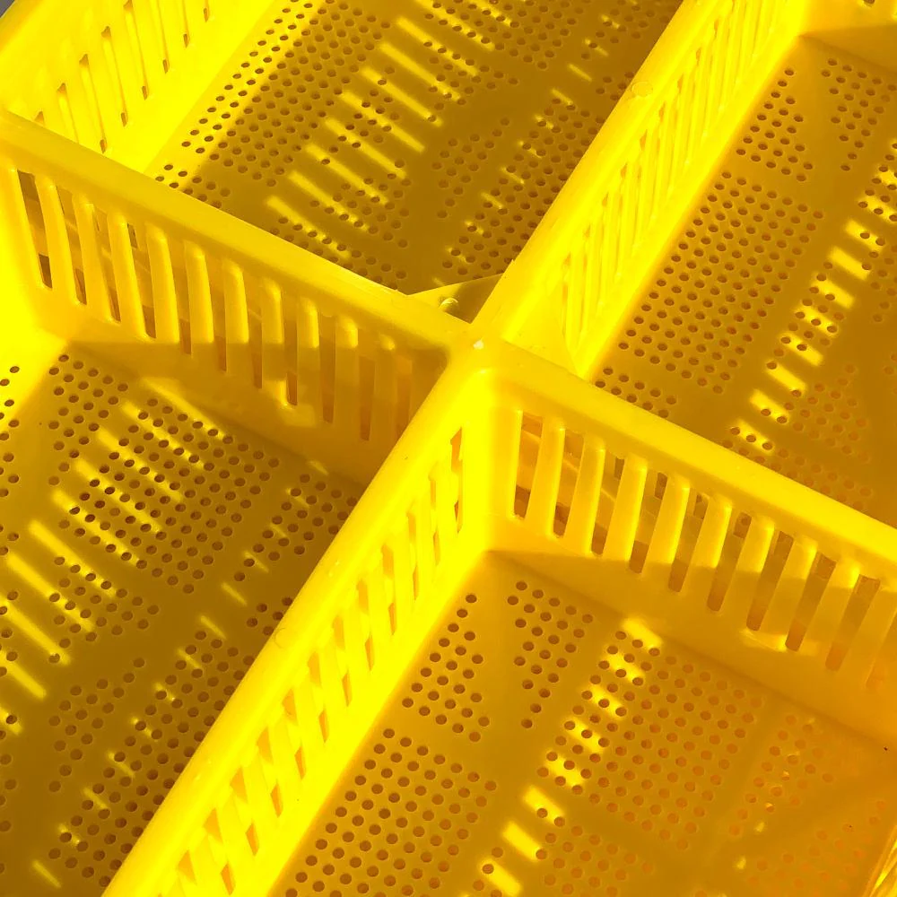 Large Chick Basket - 4 Section (4x25 Chicks) - Image 4