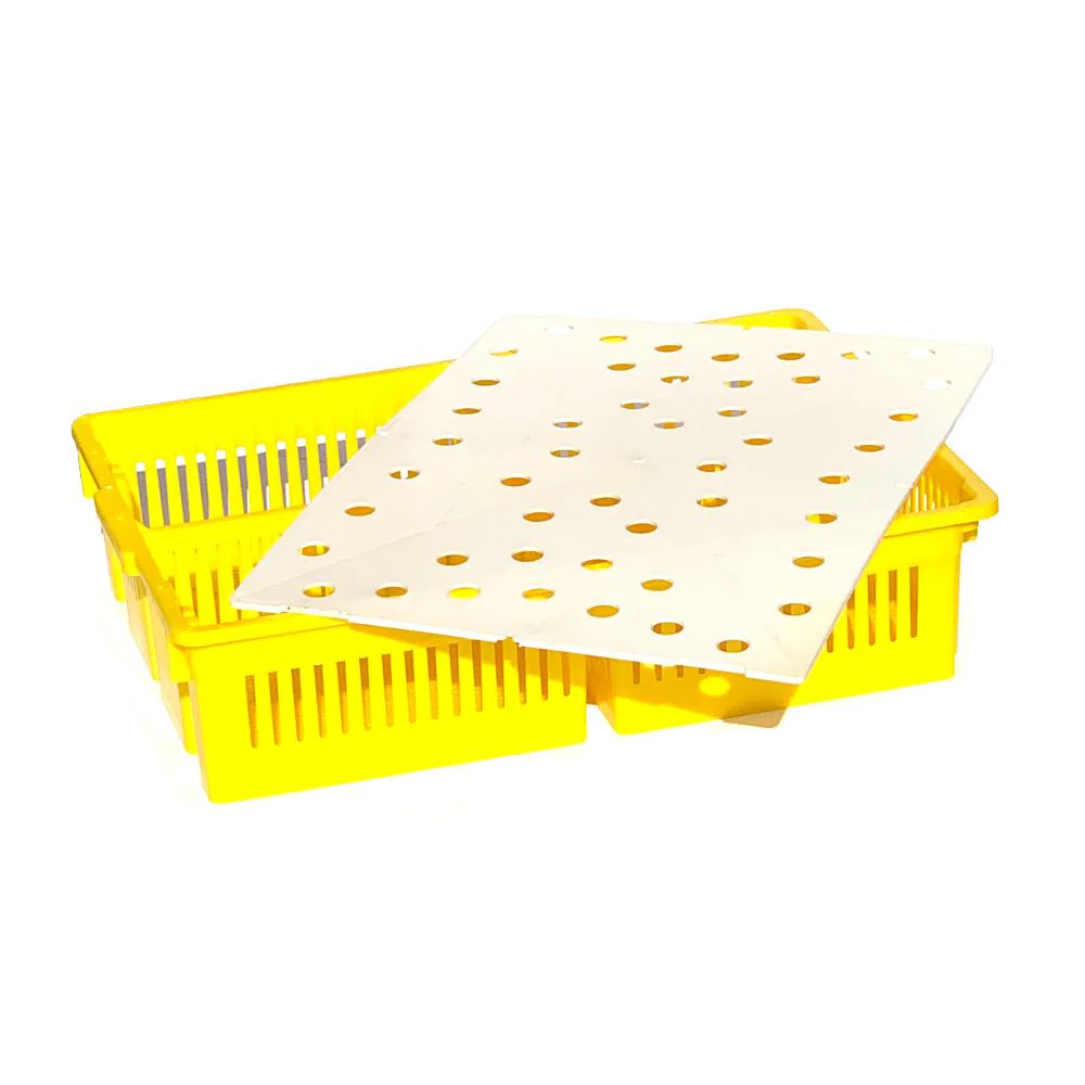 Large Chick Basket - 4 Section (4x25 Chicks) - Image 5