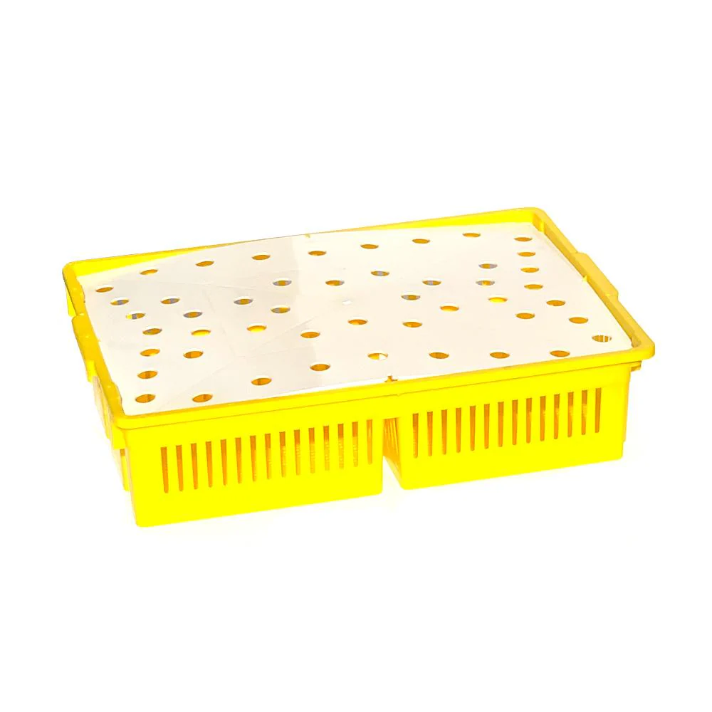 Large Chick Basket - 4 Section (4x25 Chicks) - Image 6
