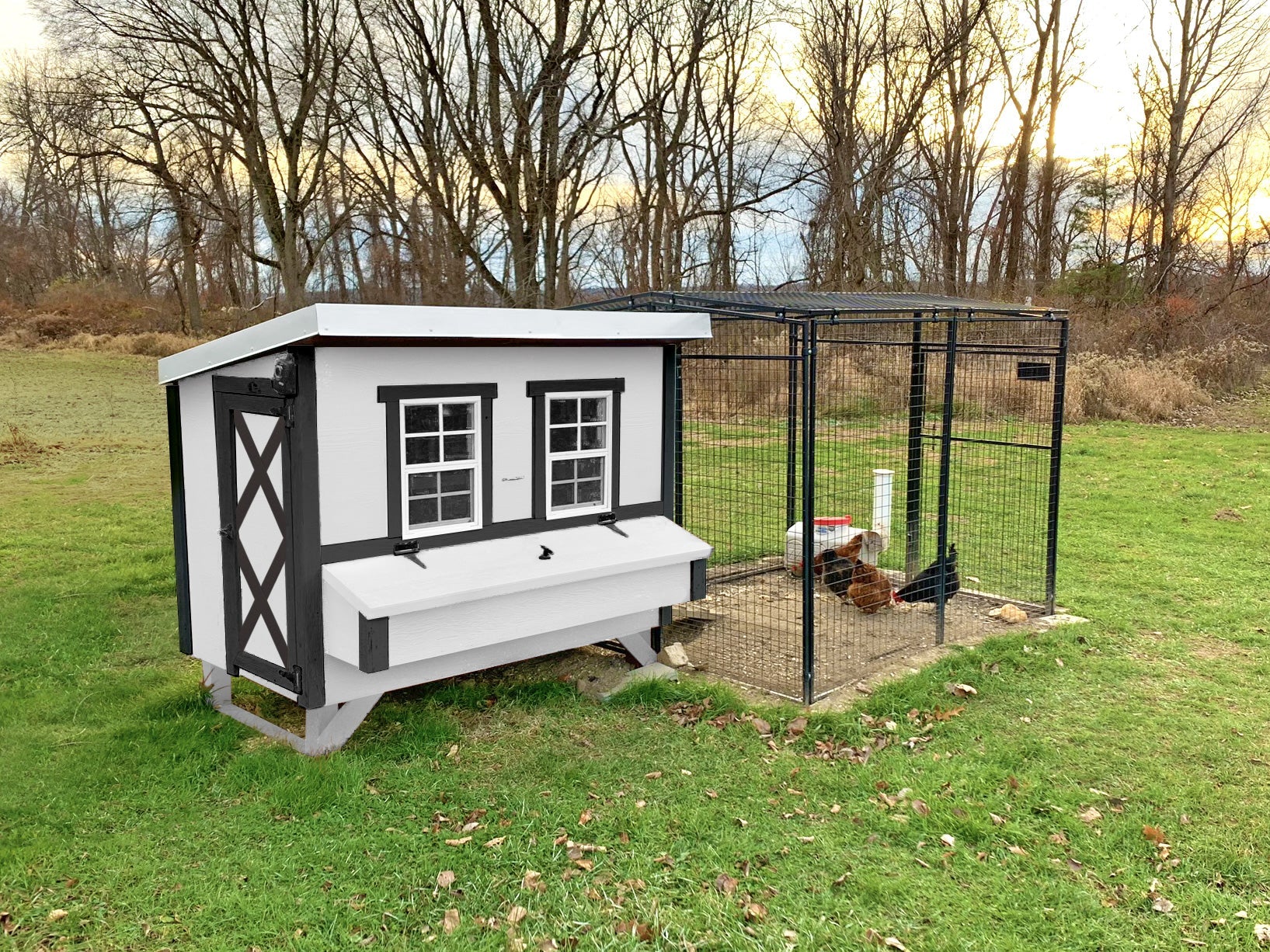 Large Chicken Coop - Up to 15 Chickens - Image 7