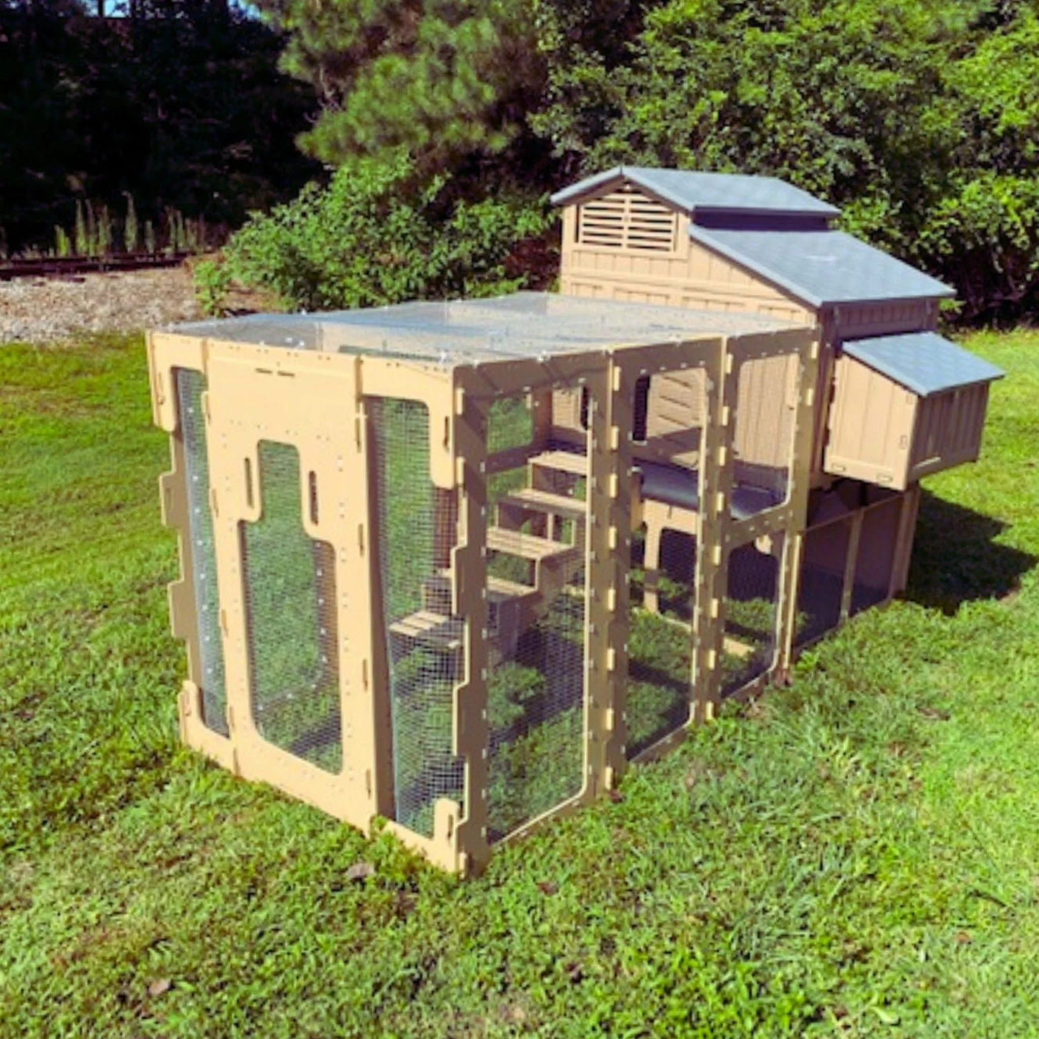 Large Chicken Coop with Stand and Stairs & Run - Image 3