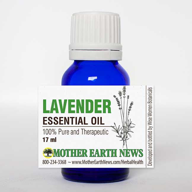 Lavender Essential Oil - Image 2