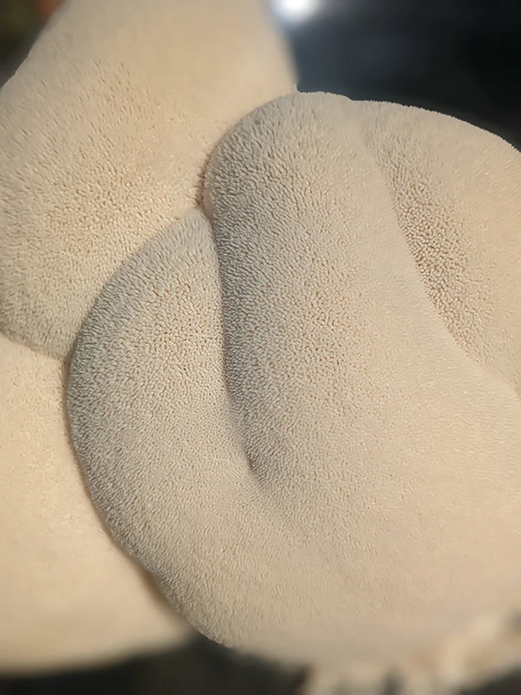 Lion'S Mane Grow Kit
