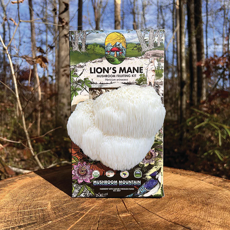 Lions Mane Pom Pom Mushroom Fruiting Kit