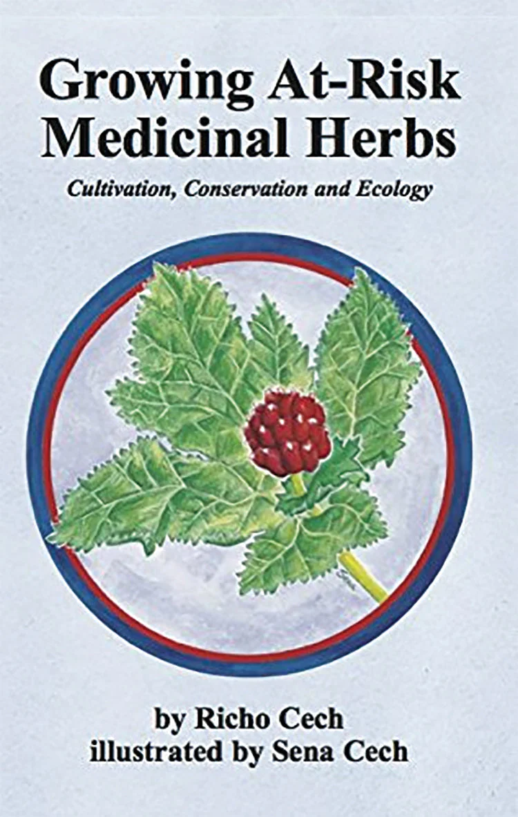 Making Plant Medicine Set - Image 2