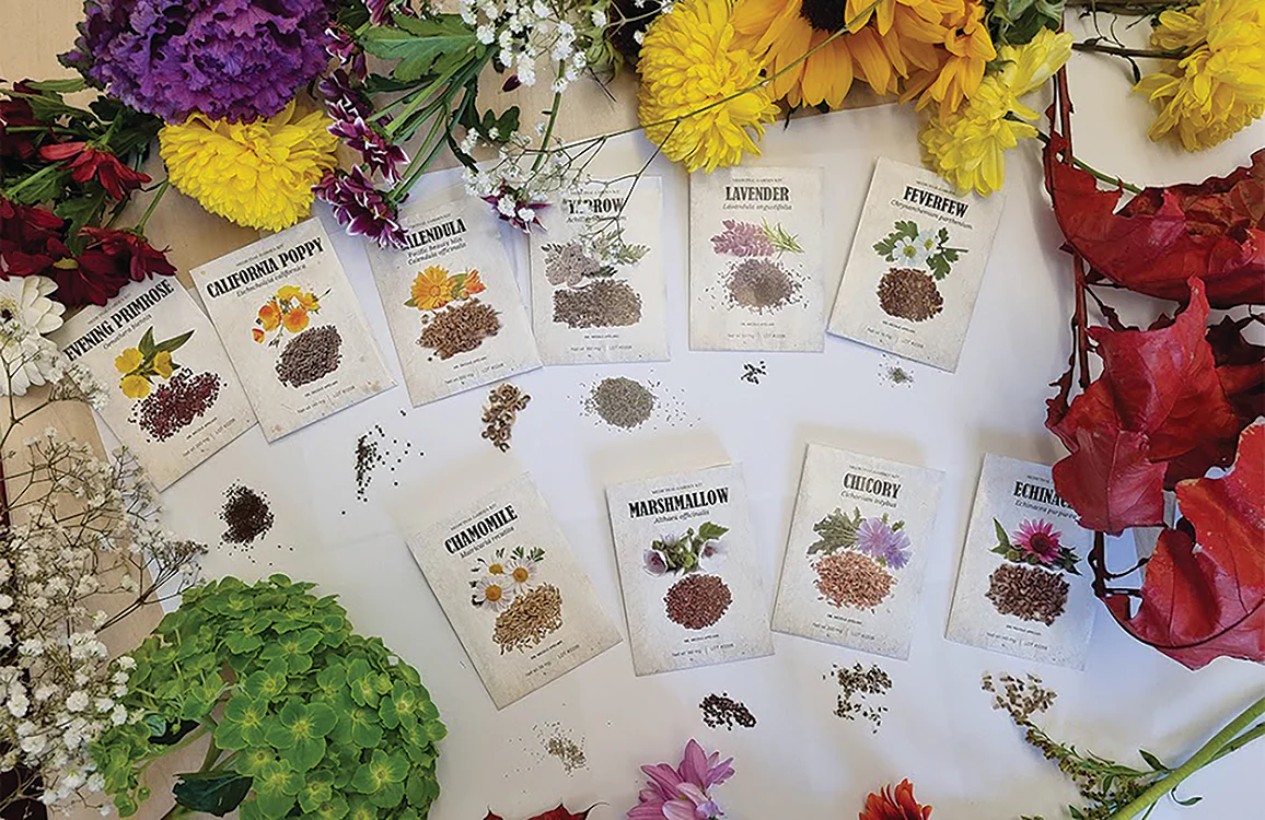 Medicinal Garden Kit - Image 3