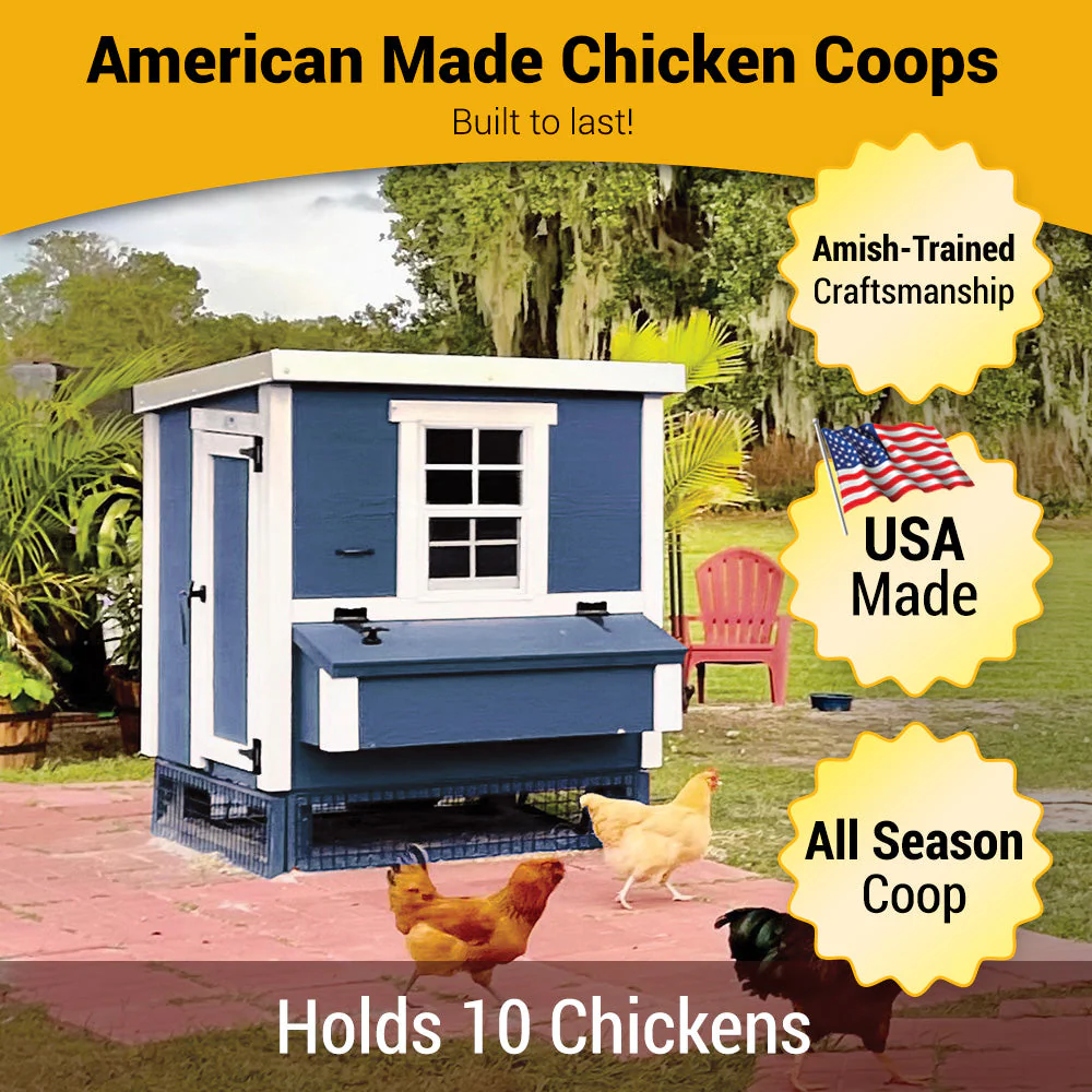 Medium Chicken Coop - Up to 10 Chickens - Image 28